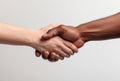 Interracial Handshake on Neutral Background Royalty Free Stock Photo