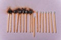 Interrupted row of burned matches Royalty Free Stock Photo