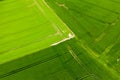 Intersecting green fields with tractor lines, Normandy Royalty Free Stock Photo