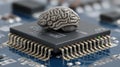 The intersection of biology and technology is powerfully depicted by a human brain placed upon a silicon integrated circuit Royalty Free Stock Photo
