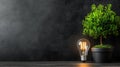 The Intersection of Nature and Technology: A Thought-Provoking Concept Featuring A Plant in A Pot Beside A Light Bulb for Royalty Free Stock Photo