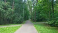 The intersection of the paved walkways is in a park among trees. Next to the paths, grass grows and there are lamp posts