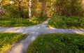 The intersection of pedestrian paths in the forest on a summer day. Conceptual landscape Royalty Free Stock Photo