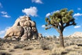 Intersection rock in joshua tree national park