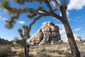 Intersection rock in joshua tree