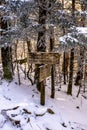 Intersection of Snake Den Ridge and Maddron Bald Trail Royalty Free Stock Photo