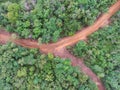 Intersection at Tropical Forest, Simpang Teritip