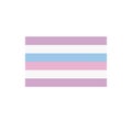 Intersexual flag flat icon, vector illustration Royalty Free Stock Photo
