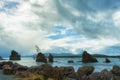 Intertidal Rocks In Tillamook Bay