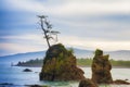 Intertidal Rocks In Tillamook Bay Royalty Free Stock Photo