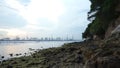 Intertidal Walk Along Tanjong Rimau