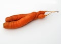 Intertwined loving carrots