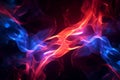 Intertwining red and blue flames mesmerize on a dark background.