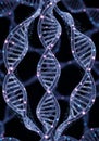 Intertwining strands of DNA are depicted Royalty Free Stock Photo