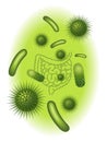 Intestinal bacterial flora Royalty Free Stock Photo