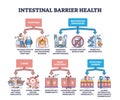 Intestinal barrier health and leaky gut syndrome explanation outline diagram Royalty Free Stock Photo