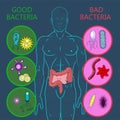 Intestinal flora, Set of good and bad bacteria