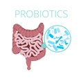 Intestinal flora vector concept with probiotics icons. Royalty Free Stock Photo