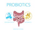 Intestinal flora vector concept with probiotics icons.