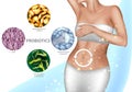 Intestinal microflora. Healthy digestion, good human microbiota. Vector illustration of a girl's belly and