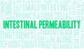 Intestinal Permeability Word Cloud Royalty Free Stock Photo