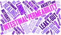 Intestinal Permeability Word Cloud Royalty Free Stock Photo