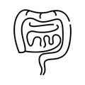 Intestinal tract line icon, concept sign, outline vector illustration, linear symbol. Royalty Free Stock Photo