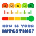 Intestinal wellness thermometer icon, how is the health of your intestine