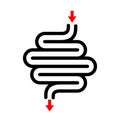 Intestine vector icon