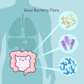 Intestine with good bacteria flora