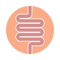 Human bowel graphics icon