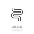 intestine icon vector from human organs collection. Thin line intestine outline icon vector illustration. Outline, thin line