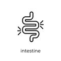 Intestine icon. Trendy modern flat linear vector Intestine icon