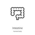 intestine icon vector from human body collection. Thin line intestine outline icon vector illustration. Linear symbol for use on