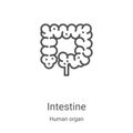 intestine icon vector from human organ collection. Thin line intestine outline icon vector illustration. Linear symbol for use on