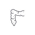 Intestine linear icon concept. Intestine line vector sign, symbol, illustration.