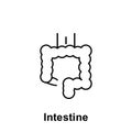Intestine, organ icon. Element of human organ icon. Thin line icon for website design and development, app development. Premium Royalty Free Stock Photo