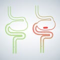 Intestine virus icon . Simple illustration of intestine virus icon for web design isolated on white background.