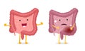 Intestines characters healthy and unhealthy comparison. Human intestine mascot good and bad condition. Cartoon gut Royalty Free Stock Photo