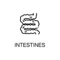 Intestines flat icon