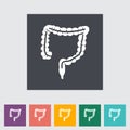 Intestines flat icon.