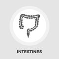Intestines flat icon