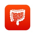 Intestines icon digital red