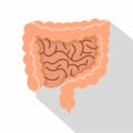 Intestines icon, flat style