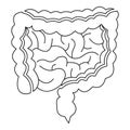 Intestines icon, outline style