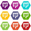 Intestines icon set color hexahedron