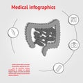 Intestines infographics template