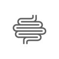 Intestines line icon. Human intestinal tract vector illustration