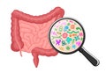 Intestines microscopic bacterias magnification. Human intestine microbiome concept. Gut microflora by magnifying glass