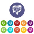 Intestines set icons Royalty Free Stock Photo